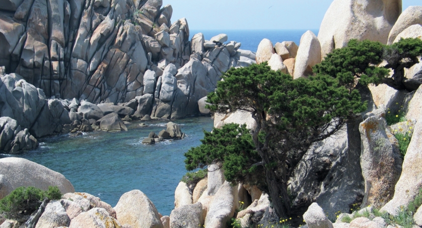 Capo Testa2 - Wanderreise Sardinien Flug Olbia